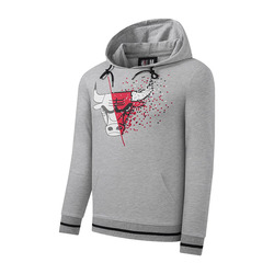 MOLETN HOODIE M BULLS FXP NBAHD5222GRY