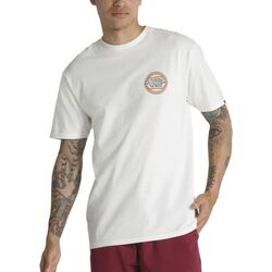REMERA VANS CIRCLE CHECKER DROP SS TEE VN0008F1FS8