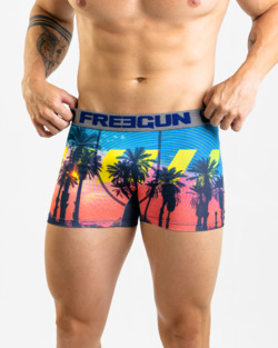 BOXER FREEGUN HOMME MICROFIBRE PREMIUM