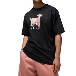 REMERA NIKE JORDAN GOAT SS CREW