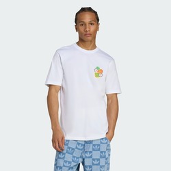 REMERA ADIDAS GRAPHIC LO SS T