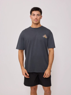 REMERA RUSTY ALORIN WASHED GRIS